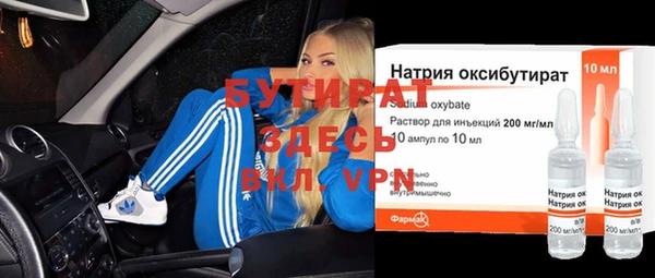 индика Алексин