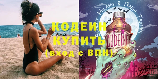 индика Алексин