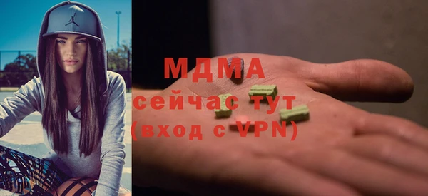 индика Алексин