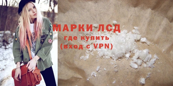 индика Алексин