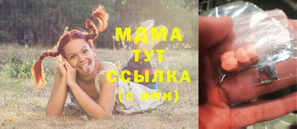 индика Алексин