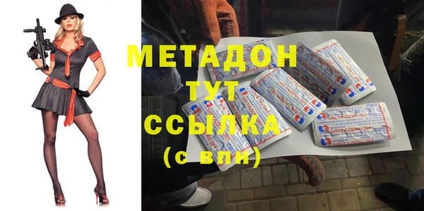 индика Алексин