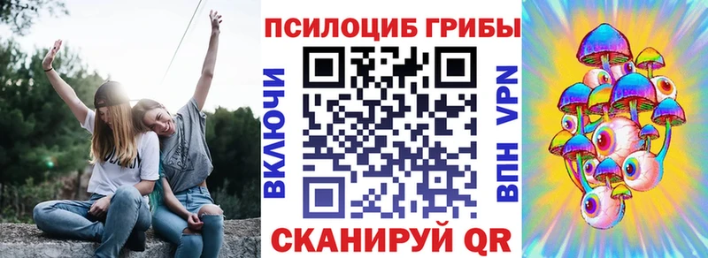 Псилоцибиновые грибы Cubensis Амурск